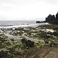 IMG_4004.JPG