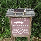 IMG_4027.JPG