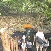 IMG_4036.JPG