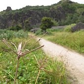 IMG_4039.JPG