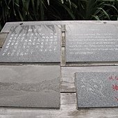 IMG_4041.JPG