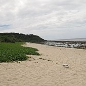 IMG_4056.JPG