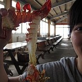 IMG_4075.JPG