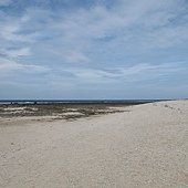 IMG_4081.JPG