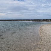 IMG_4083.JPG