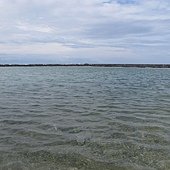 IMG_4085.JPG