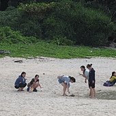 IMG_4089.JPG