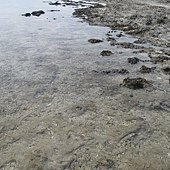 IMG_4091.JPG