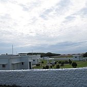 IMG_4098.JPG
