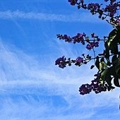IMG_1241-2