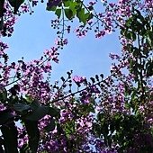 IMG_1244-2