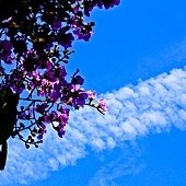 IMG_1252-2