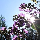 IMG_1260