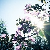 IMG_1260-2