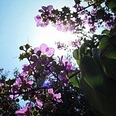 IMG_1262-2