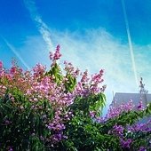 IMG_1263-2