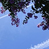 IMG_1265
