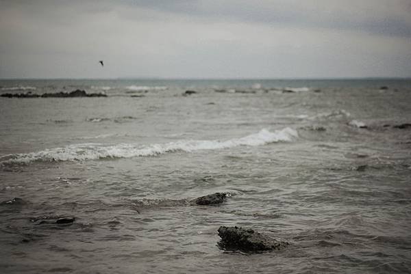 IMG_5277