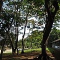IMG_2199.JPG