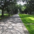 IMG_2196.JPG