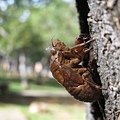 IMG_2208.JPG