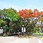IMG_2170.JPG
