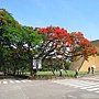 IMG_2172.JPG
