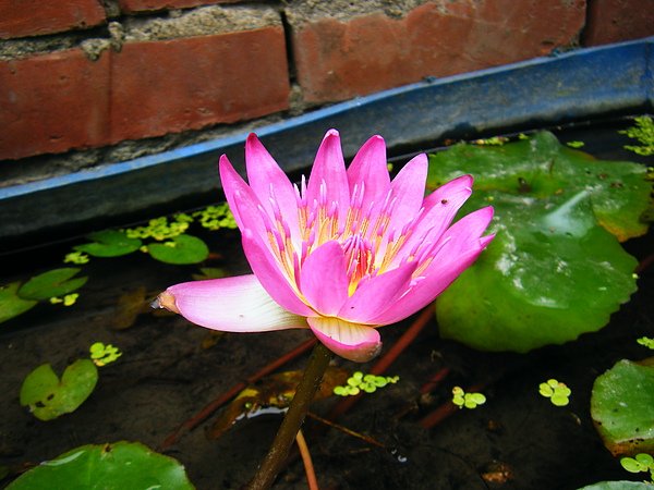 DSCF7905.JPG