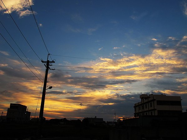 IMG_0289_resize.JPG