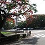 IMG_2178.JPG