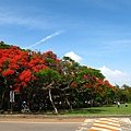 IMG_2186.JPG