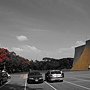 IMG_2183.JPG