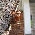 IMG_2205.JPG