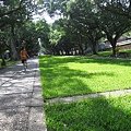 IMG_2195.JPG