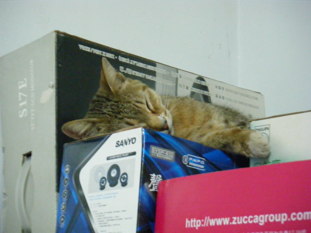 DSCF2416.JPG