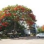 IMG_2168.JPG