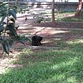IMG_2204.JPG
