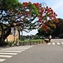 IMG_2175.JPG