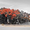 IMG_2181.JPG