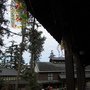 IMG_0924.JPG