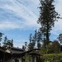 IMG_0945.JPG