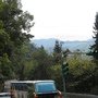 IMG_0950.JPG