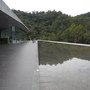 IMG_1006.JPG