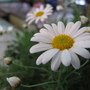 IMG_1065.JPG