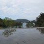 IMG_1005.JPG