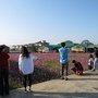 IMG_1601.JPG