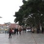 IMG_1107.JPG