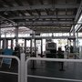 IMG_1116_resize.JPG