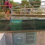 IMG_1058.JPG