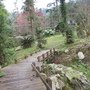 IMG_0927.JPG